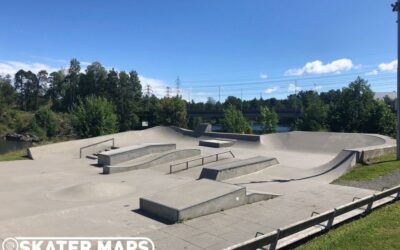 Moss Skatepark